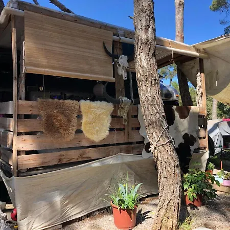 Camping Vintage Camper - And Ibiza *