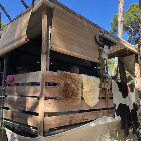 Camping Vintage Camper - And Ibiza *