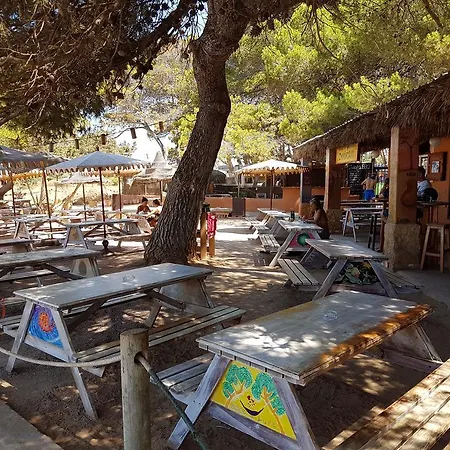 Camping Vintage Camper - And Ibiza *