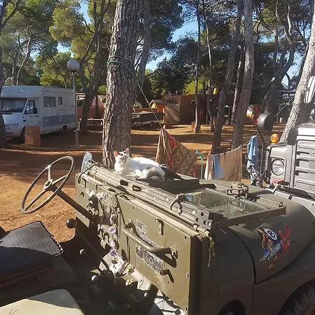Vintage Camper - And Ibiza Es Cana