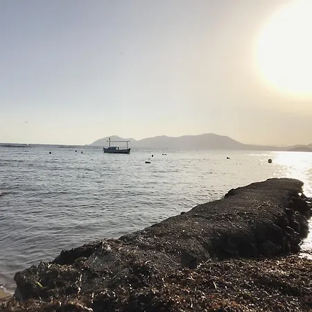 Camping Vintage Camper - And Ibiza *